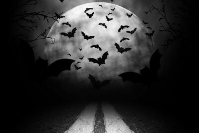 La Luna y las Brujas: El Papel de la Luna en la Noche de Halloween