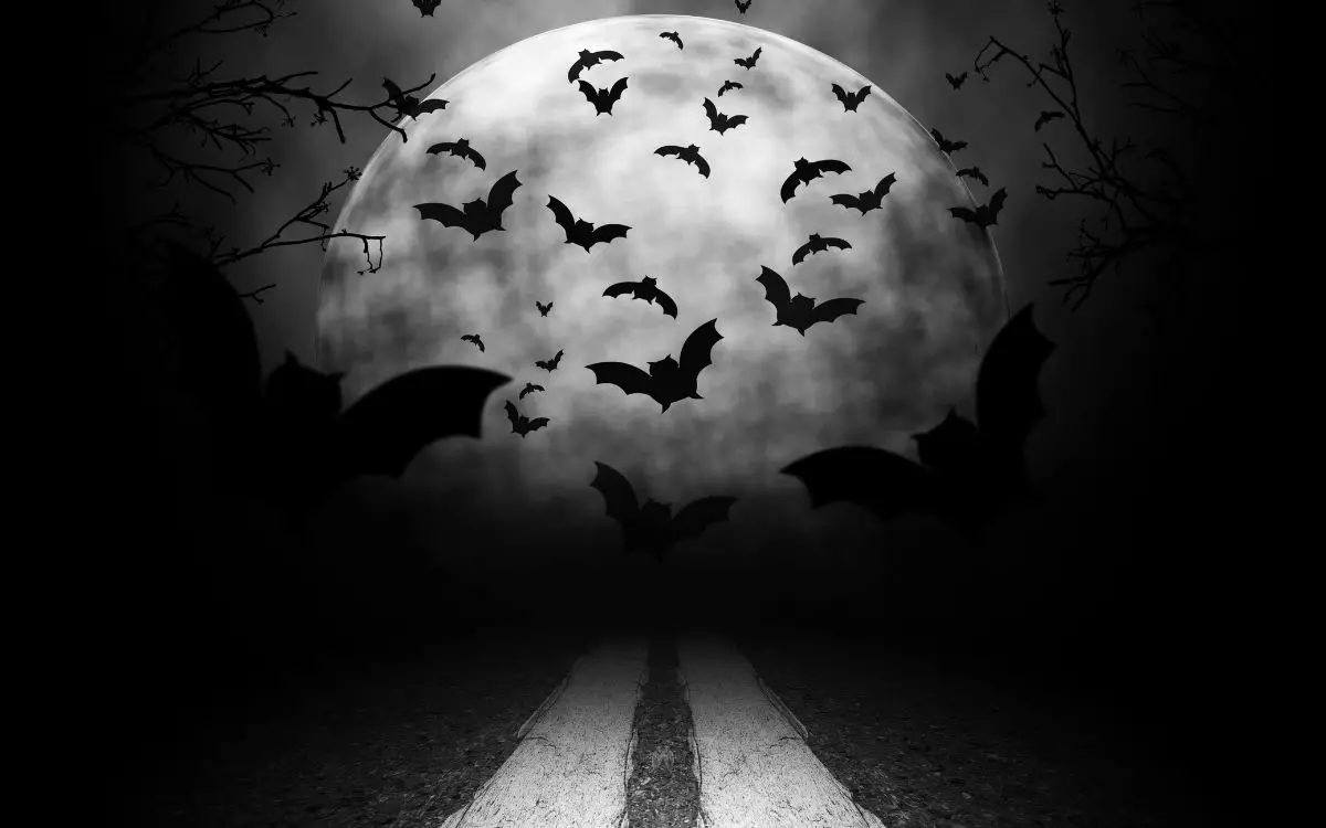 La Luna y las Brujas: El Papel de la Luna en la Noche de Halloween